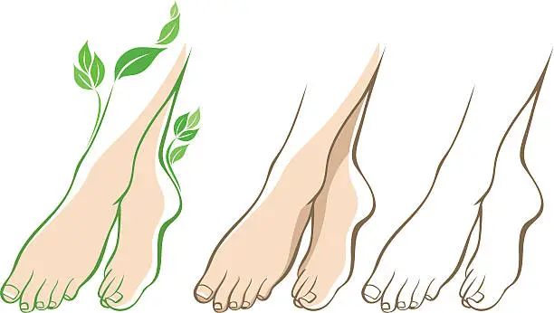 Vector illustration of Beautiful woman feet