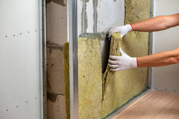 istock Worker insulating a room wall with mineral rock wool thermal insulation. 1202566872