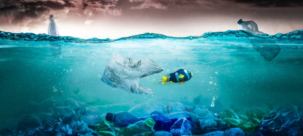 Plastic Pollution Concept Plastic Bag Trying to Eat a Fish. Environmental Plastic Pollution. Dramatic Situation in Oceans. plastic marine life stock pictures, royalty-free photos & images