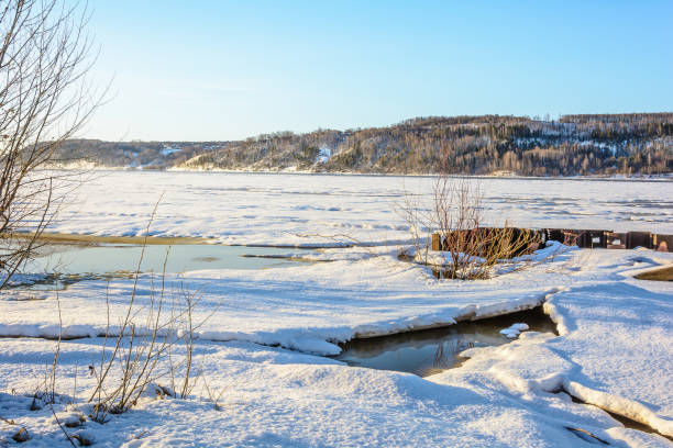 istock Awakening of nature in early spring 1202568113