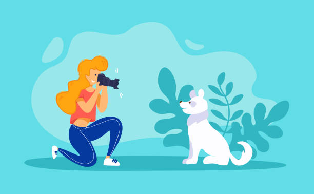 ilustraciones, imágenes clip art, dibujos animados e iconos de stock de fotógrafo de mascotas tomando la foto de un perro. mujer joven con cámara digital y cachorro blanco divertido. - colored background adult photography color image