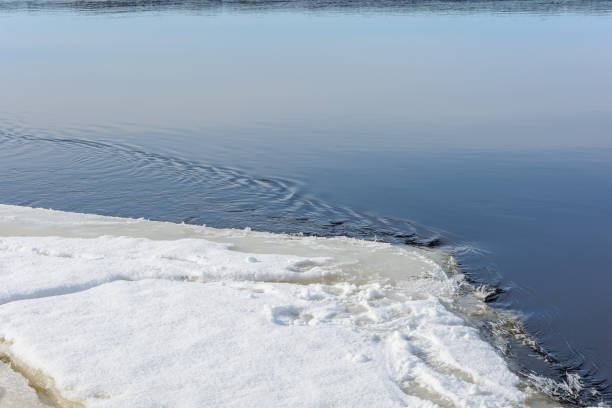 istock Awakening of nature in early spring 1202568673