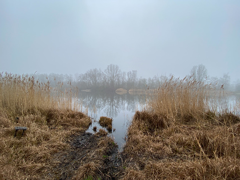 Misty panoramic view over a former lignite quarry in the province Limburg