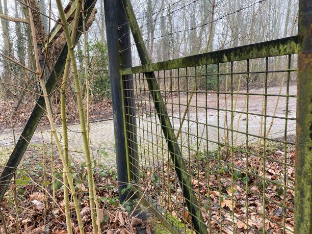 istock Old fence entrance 1202570018