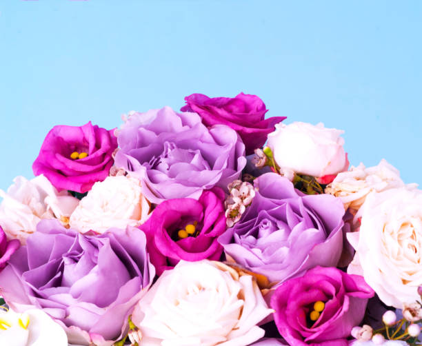 istock Festive concept from rosebuds in full bloom. Isolated on blue. Valentines Day. Template mock up of greeting card or text design 1202570050