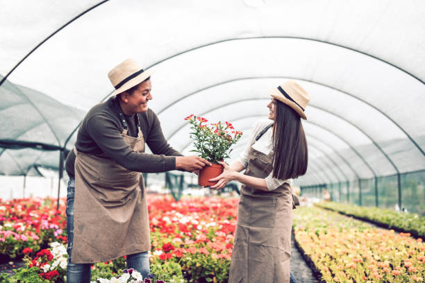 istock Hispanic Couple Arguing About Flower Pot Possession 1202572685