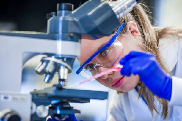 cientista feminina com microscópio e pipeta em placa de estoque de laboratório adulto, somente adultos, análise, biologia, biotecnologia - fundação de pesquisa - fotografias e filmes do acervo