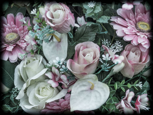 istock Flowers background with pink and white flowers 1202574500