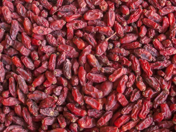 dried red Tibetan spicy barberries placer background