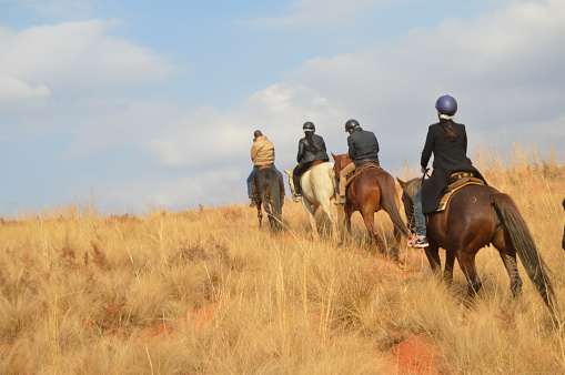 Group of Indian Horse riding riders on a trail in Drakensberg region in Africa
