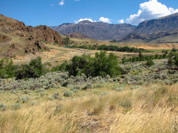 istock Typical Northwest landscape, United States 1202578406