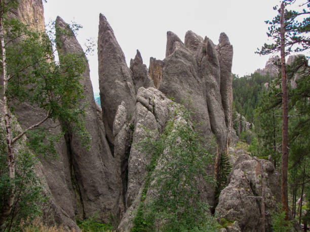 istock Rock needles in Custer State Park, USA 1202578514