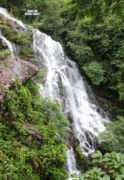 istock Beautiful waterfall in central Vietnam 1202585221