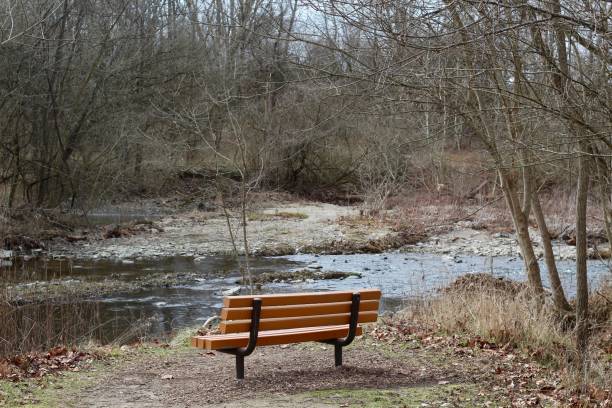 istock Old Wood Bench near Creek 1202585885