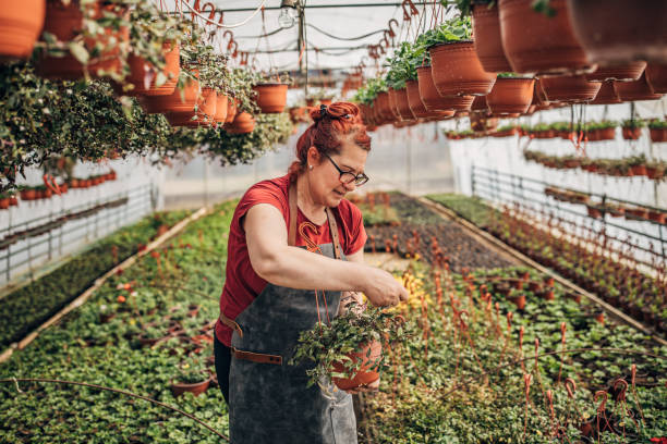 istock Mature woman nursing flowers 1202588436