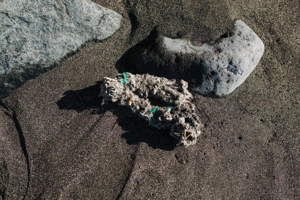 istock Trash on Sand and Stone Beach Top View Closeup 1202590026