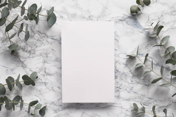 istock Eucalyptus twigs on marble table with blank paper page. Background decoration with space for your text. Trendy minimal decorations.. 1202593748