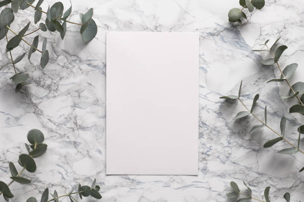istock Beautiful abstract floral background. Flat lay, top view eucalyptus on marble background, flat lay on light textured stone table surface. Minimal concept with text space. Trendy background. 1202594286