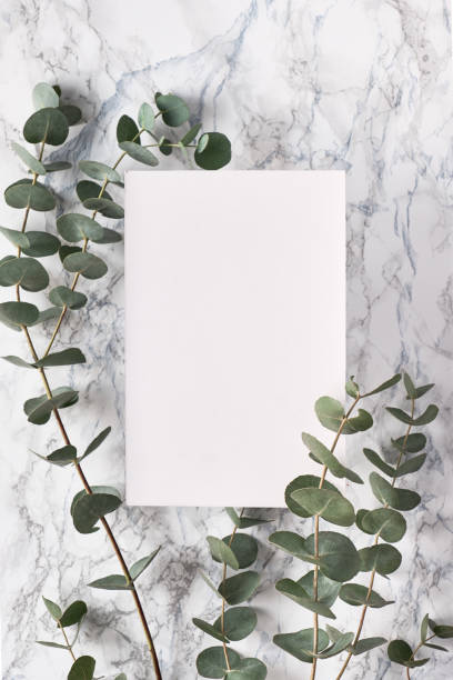 istock Beautiful abstract floral background. Flat lay, top view eucalyptus on marble background, flat lay on light textured stone table surface. Minimal concept, trendy floral design, copy-space on paper. 1202594469
