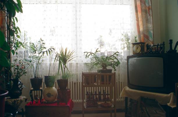 Berlin (West), Germany, 1990. Living room window with house plants.