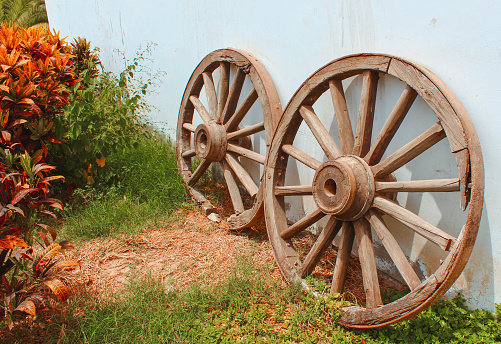 Two old wagon wooden wheels on the side of a wall, next to a garden of flowers. Picture taken in Peru.