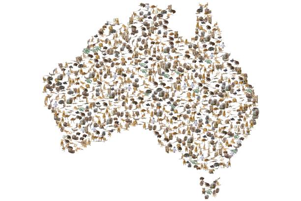 mappa degli animali australiani - tasmanian animals foto e immagini stock