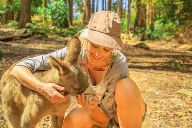 istock Woman feed kangaroo 1202599293