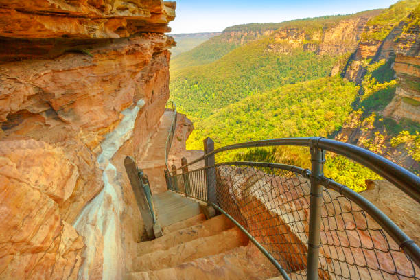 Giant Stairway trail The Giant Stairway, a spectacular trail to Jamison Valley descending more than 800 steps in Blue Mountains National Park, New South Wales, Australia. blue mountains australia photos stock pictures, royalty-free photos & images