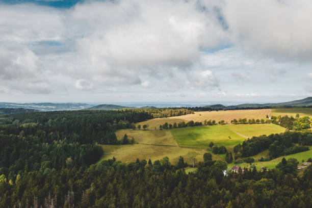 Aerial view of beautiful green fields and agricultural landscape near hilly forest.