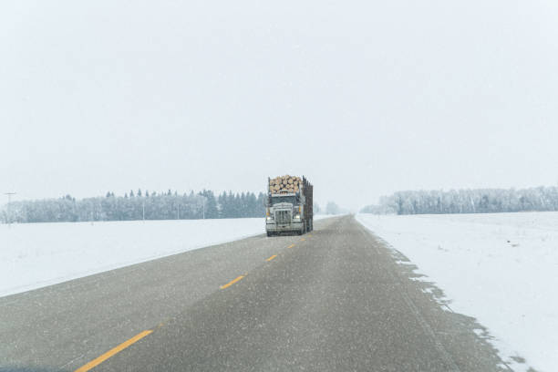 istock semi truck hauling logs 1202601247