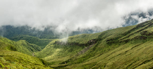 la soufriere vulcano collina coperto di verde, saint vincent e le grenadine - sleeping volcano foto e immagini stock