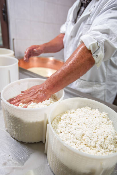 irriconoscibile senior cheese maker che riempie i contenitori di plastica con formaggio cagliata - foto d'archivio - il formaggio di coltivatore foto e immagini stock