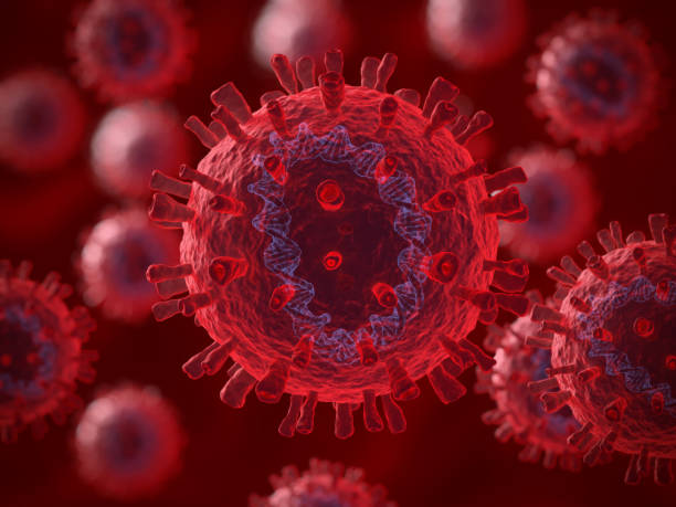 istock 3d illustration of coronaviruses 1202606101