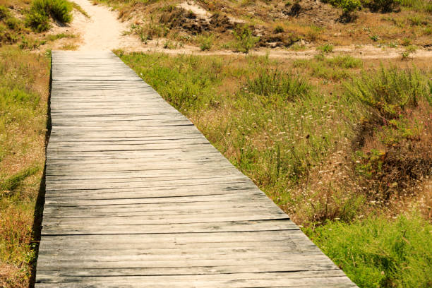 istock wooden footpath in the dunes at Langosteira Beach 1202609257