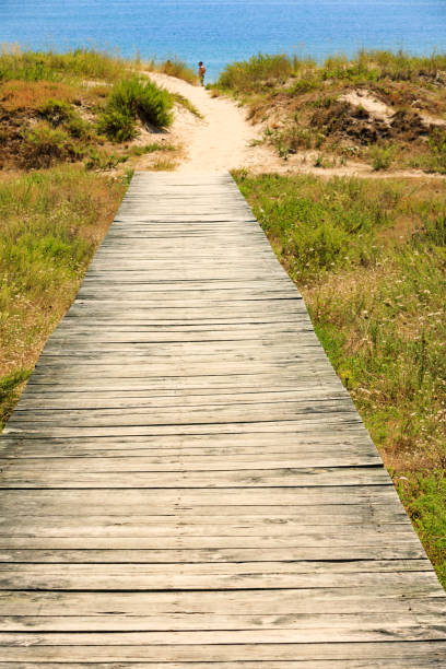 istock wooden footpath in the dunes at Langosteira Beach 1202609282