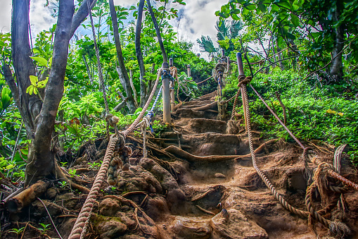 Princeville, Kauai, HI USA 04/16/19: Jungle stairs leading down to Hideaway Beach on Kauai's north shore.