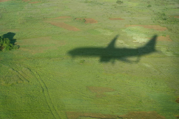istock Shadow of the plane in the green fields during the landing 1202611112