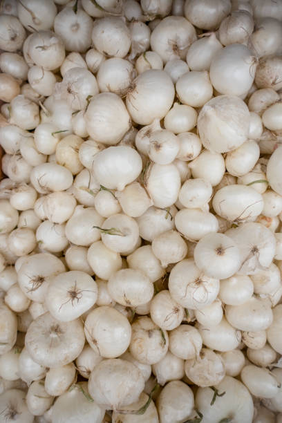 pearl onion