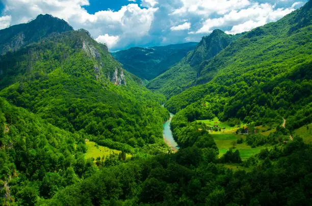 Mountain range and small village houses in green forest near Tara river gorge canyon, view from Durdevica Tara Bridge, Montenegro