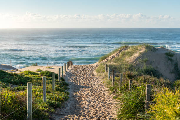 istock Entrance path to ocean beach with sand with many footsteps 1202612884