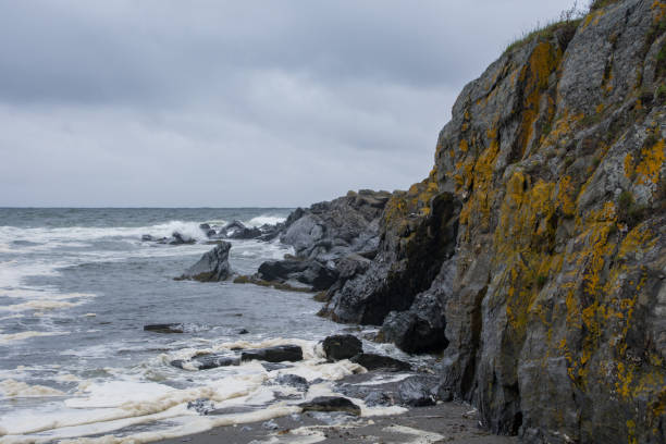 istock Orange lichen on a rocky coast 1202614038