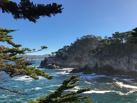Waves crash against cliffs with trees in Big Sur, California; landscape view