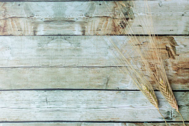 istock Wheat ears placed on brown wooden background 1202619984