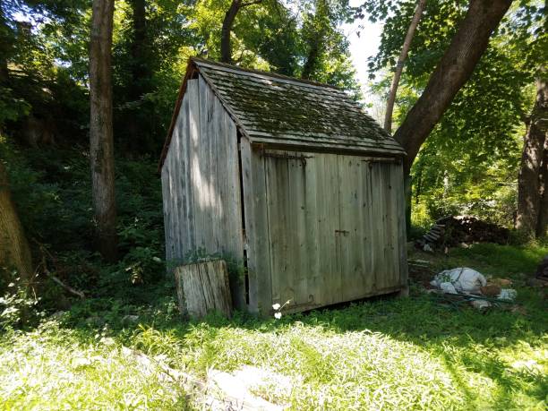 istock wood storage shed and trees and green grass with moss on roof 1202625816