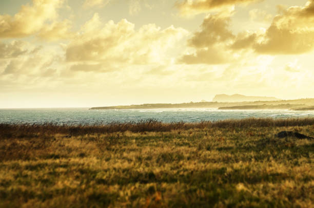 magnificent landscape with sea and mountain