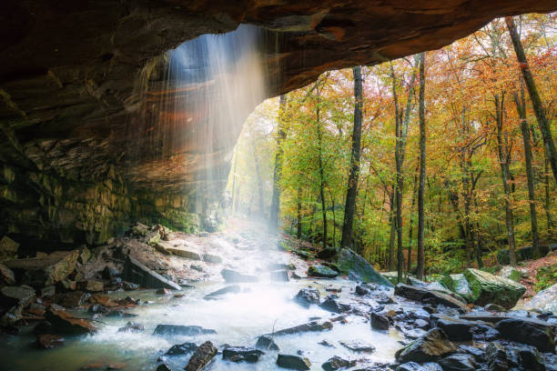 glory hole falls ozark national forest im herbst - autumn water leaf stream stock-fotos und bilder