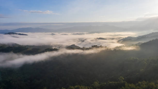 istock Aerial view of the Borneo rainforest. 1202629001
