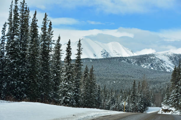 istock Cruising the Alaska Highway-AL-CAN in Spring 1202629144