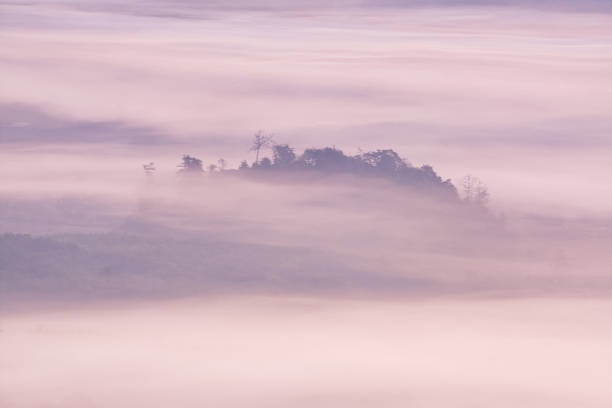 Morning Mist stock photo