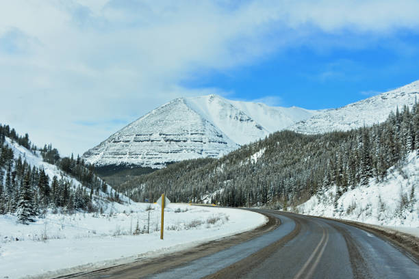 istock Cruising the Alaska Highway-AL-CAN in Spring 1202629295